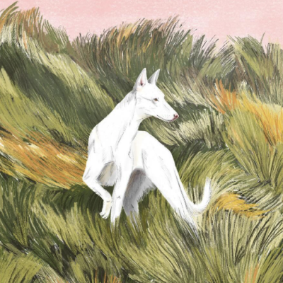 Ilustração de cão branco em vegetação sob céu cor de rosa