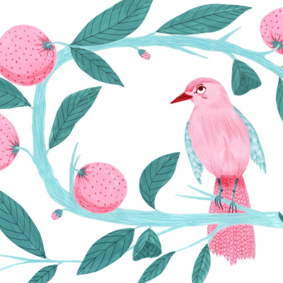 Pássaro cor-de-rosa num ramo com folhas verdes e frutos cor-de-rosa, ilustração colorida