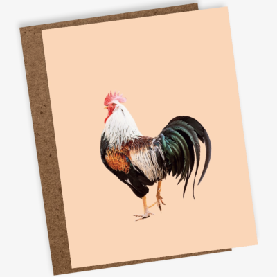 Cartão com imagem de um galo colorido em fundo bege e envelope castanho