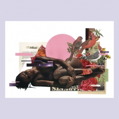 Colagem artística com corpo humano nu, aves e flores sobre fundo branco.