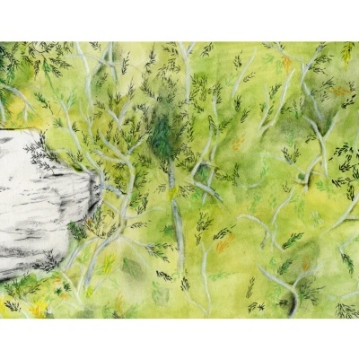 Imagem artística de ramos e folhas sobre fundo verde e amarelo