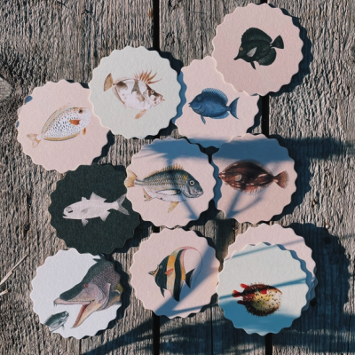 Cartões redondos com imagens de peixes coloridos sobre madeira envelhecida