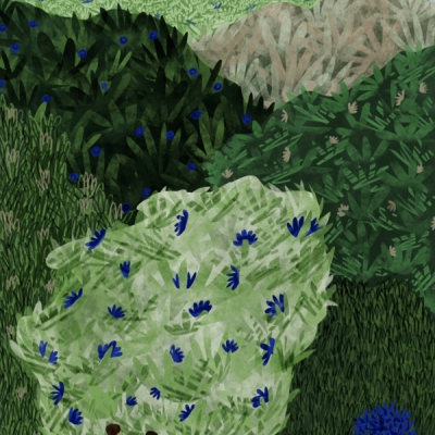 Casal sentado num banco de parque rodeado por árvores verdes com flores azuis sob céu azul