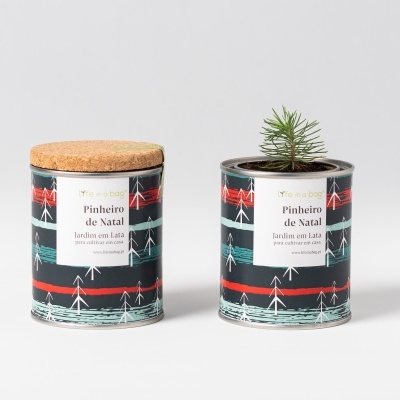 Duas latas decorativas com padrões de árvores e etiquetas, uma com tampa de cortiça e outra com uma planta de pinheiro dentro.