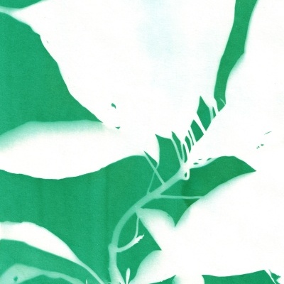 Padrão de folhas brancas sobre fundo verde