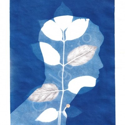 Imagem artística com silhueta humana azul e folhas brancas sobre fundo azul escuro