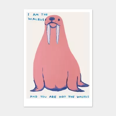 Poster com ilustração estilizada de um mors cor-de-rosa e texto azul em fundo branco.