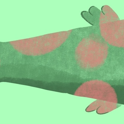 Peixe verde com manchas cor de rosa e olhos grandes sobre fundo verde claro.