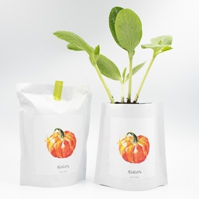 Pacotes brancos com ilustração de abóbora e planta verde saindo de um deles