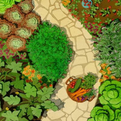 Caminho de pedra rodeado por plantas verdes e cesto com legumes coloridos