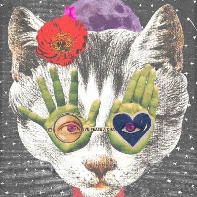 Imagem artística de gato com mãos verdes e fundo estrelado