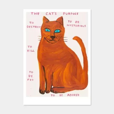Poster com ilustração de gato laranja e texto em rosa