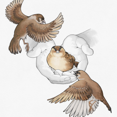 Desenho de três pardais em voo e pousados numa mão desenhada a lápis