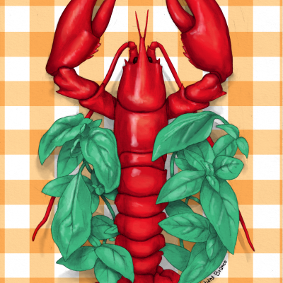Ilustração de lagosta vermelha com folhas verdes e fundo xadrez laranja e branco.