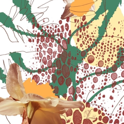 Arte abstrata com elementos orgânicos e flor destacada em tons de bege, amarelo, verde e vermelho.