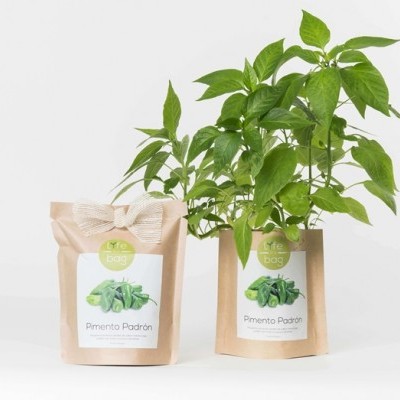 Dois pacotes de papel de Pimento Padrón, um com planta verde e outro fechado.