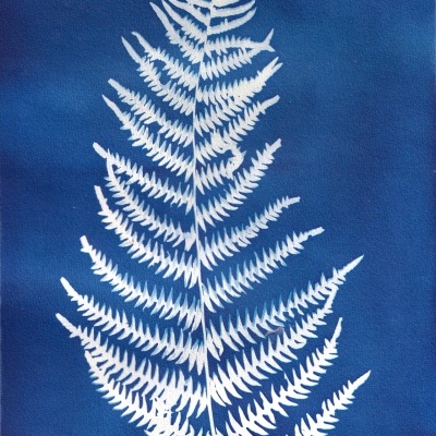 Folha de samambaia branca sobre fundo azul