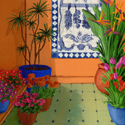 Plantas em vasos coloridos num chão de azulejo verde com parede laranja e azulejo decorativo azul e branco