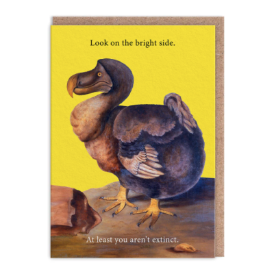 Cartão postal com desenho de dodô e texto em inglês sobre fundo amarelo.