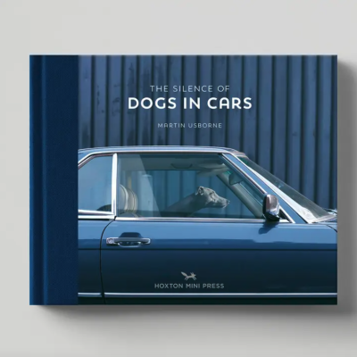 Capa de livro azul com cão sentado em carro azul e texto do título e autor