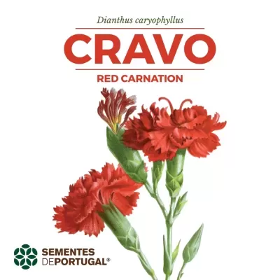 Embalagem branca com desenho de cravos vermelhos e texto CRAVO