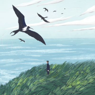 Ilustração de um homem de terno sobre vegetação olhando para pássaros a voar sobre o mar e céu azul.