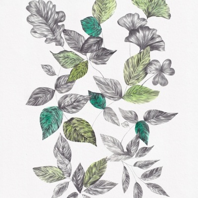 Ilustração de folhas verdes e cinzentas com textura sobre fundo branco