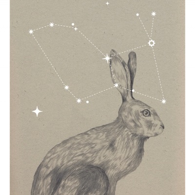 Desenho a preto e branco de um coelho com uma constelação de estrelas ao fundo