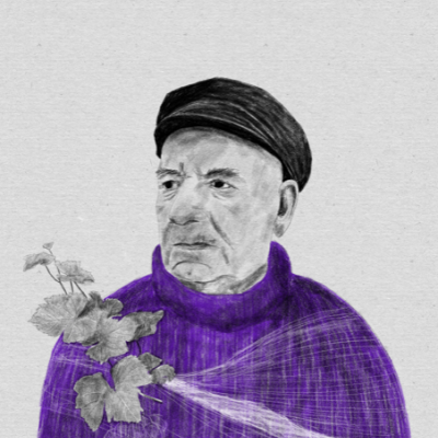 Desenho de homem idoso com boina preta, camisola roxa e ramo de uvas cinzentas.