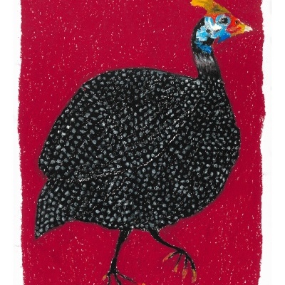 Ilustração artística de ave preta e branca sobre fundo vermelho