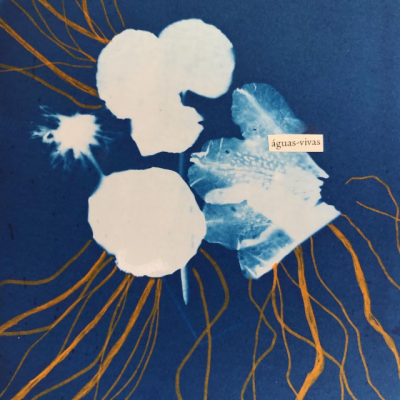 Arte em fundo azul com formas brancas e linhas amarelas, palavra 'águas-vivas' visível.