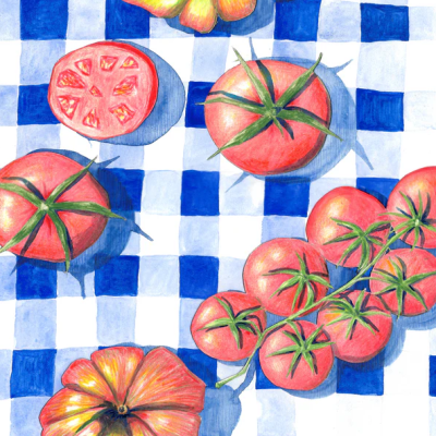 Tomates e flores sobre toalha xadrez azul e branca