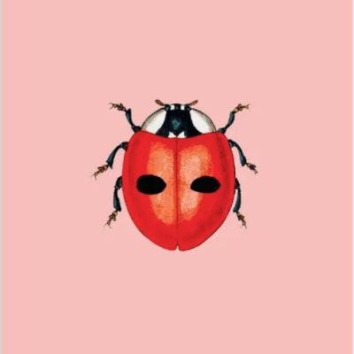 Ilustração de uma joaninha vermelha com manchas pretas sobre fundo rosa