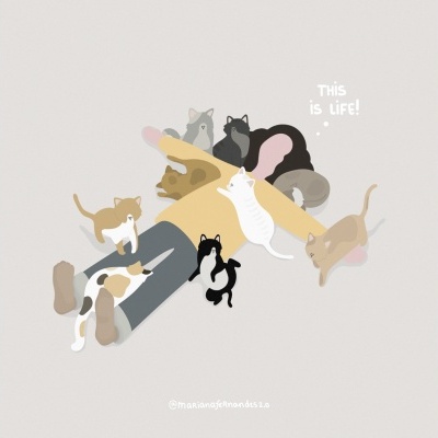 Desenho de uma pessoa deitada rodeada por gatos com texto 'THIS is LIFE!'