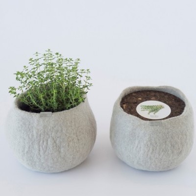 Dois vasos cinzentos felpudos com planta e terra em fundo branco