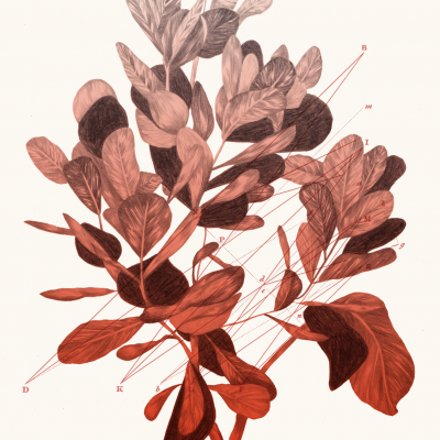 Ilustração de planta vermelha com letras e linhas vermelhas