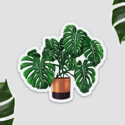 Planta Monstera em vaso de cerâmica castanho e preto sobre fundo cinza
