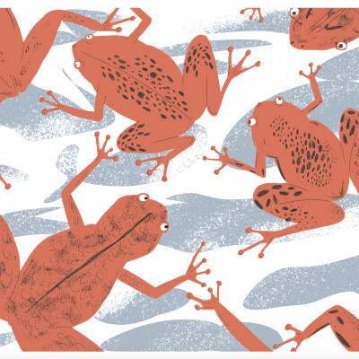 Ilustração colorida de várias rãs cor de tijolo com manchas pretas, em fundo azul claro e branco.