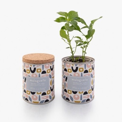 duas velas Malagueta com padrão colorido e planta verde num dos frascos