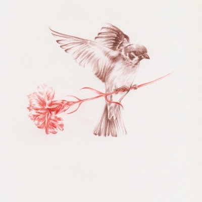 Desenho de pássaro segurando uma flor vermelha
