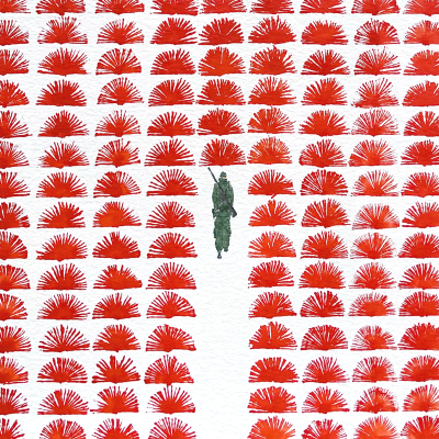 campo com plantas vermelhas e uma pessoa vestida de verde a caminhar por um caminho branco