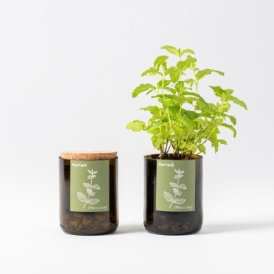Vasos de vidro castanho com etiquetas verdes e planta de hortelã