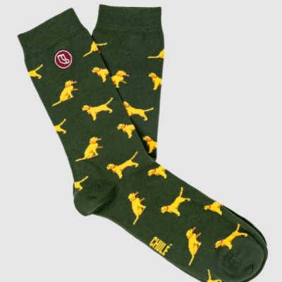 Meias verdes com padrão de cães amarelos e texto CHILLE na sola
