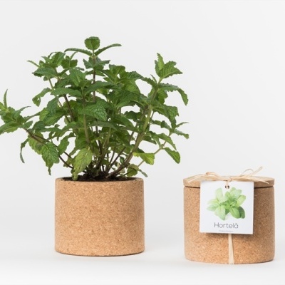 Vaso de cortiça com planta de hortelã e embalagem ao lado