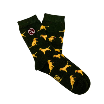 Meias pretas com padrão de cães amarelos e texto CHUË amarelo no pé
