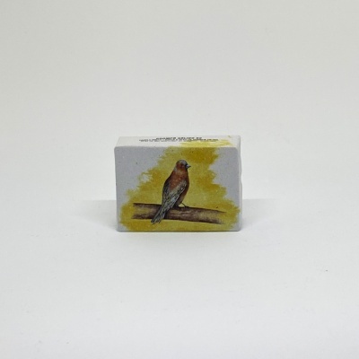 Caixa branca com desenho de pássaro castanho num ramo