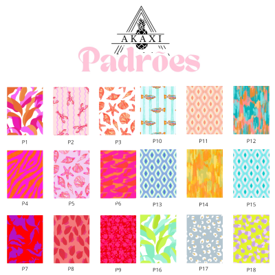 Logotipo AKAXI Ananás com a palavra Padrões e 18 amostras de padrões coloridos diversos