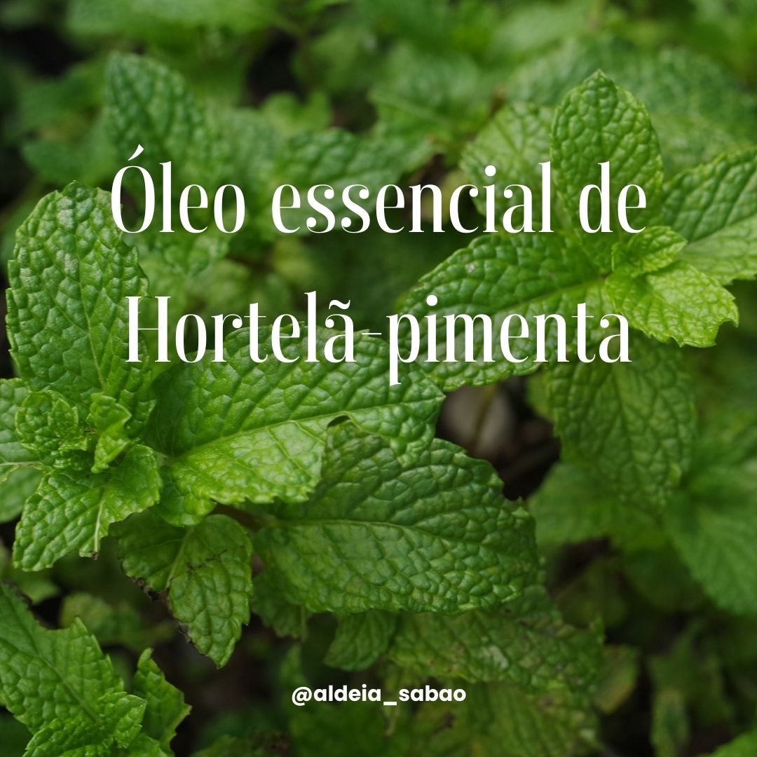 Benefícios do Óleo Essencial de Hortelã-pimenta Folhas verdes de hortelã-pimenta com texto sobreposto Óleo essencial de Hortelã-pimenta