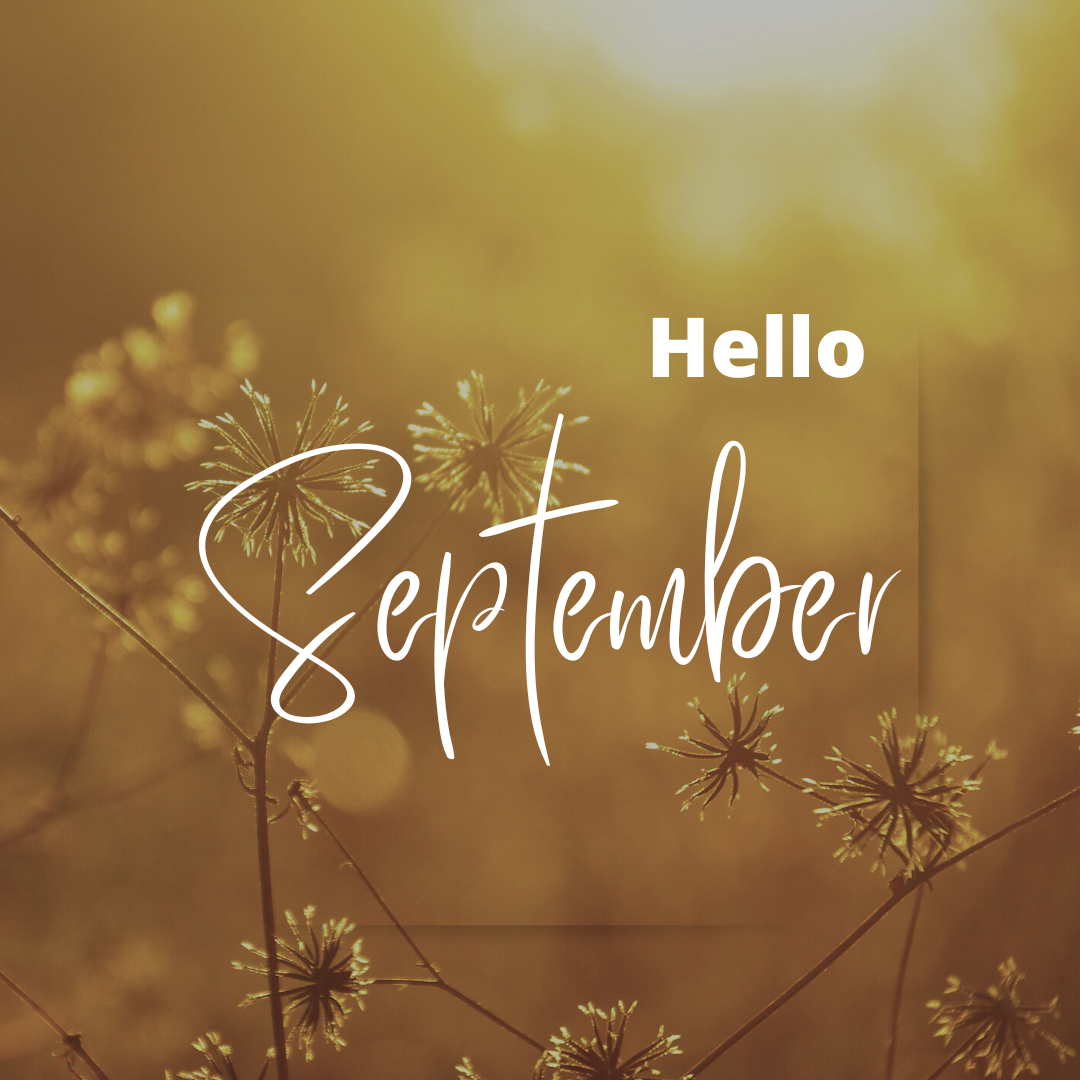 Dicas para voltar à rotina Imagem com plantas secas e texto Hello September em fundo dourado.