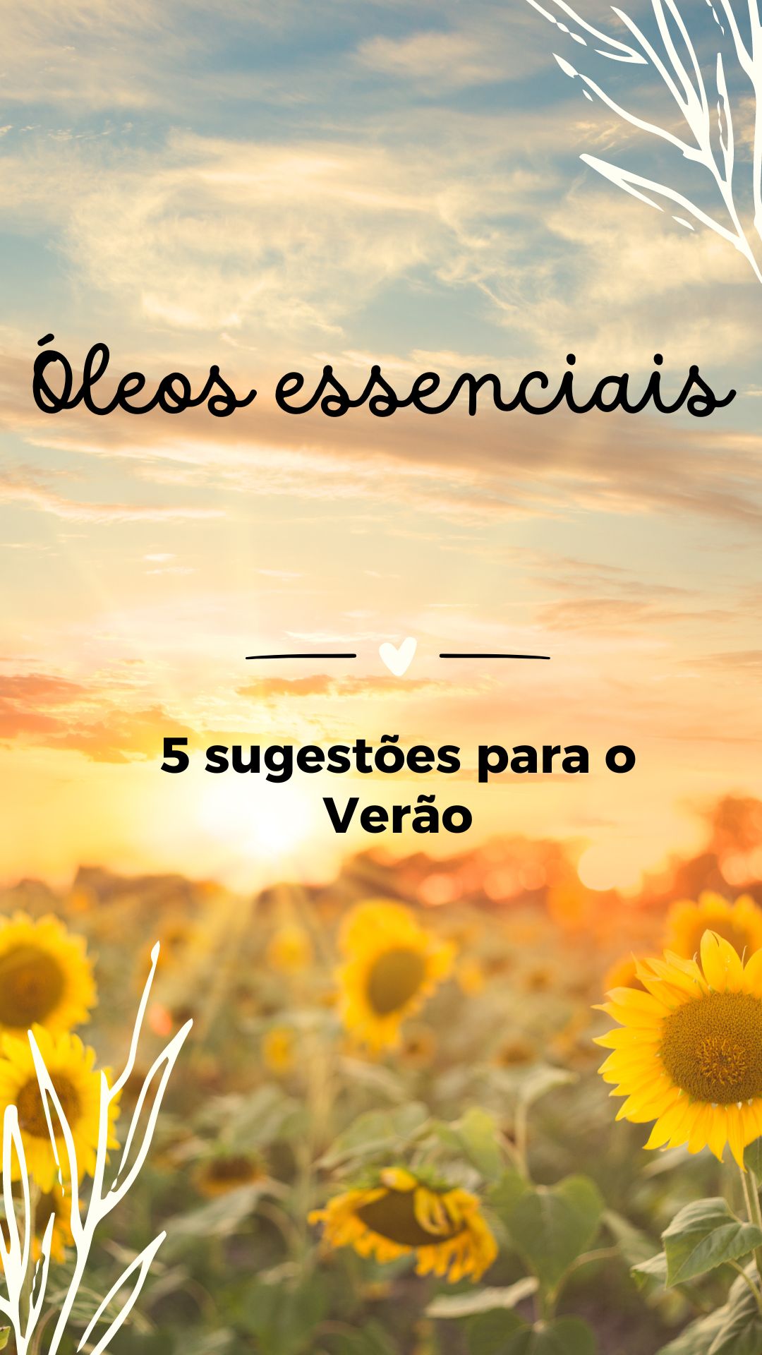 Campo de girassóis ao pôr do sol com texto promocional sobre óleos essenciais.